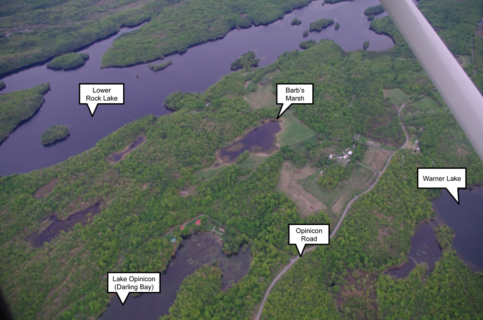 Aerial view of Barb's Marsh