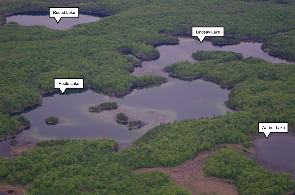 Aerial view of Poole and Lindsay Lakes