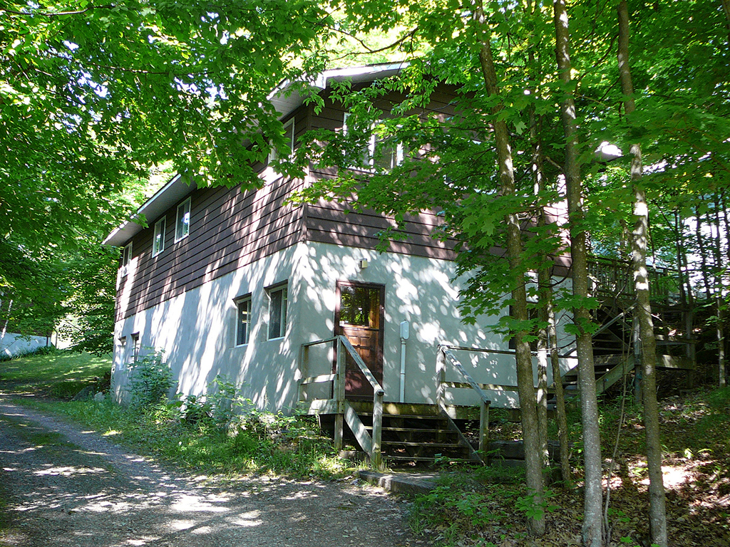 Brown Lab Exterior