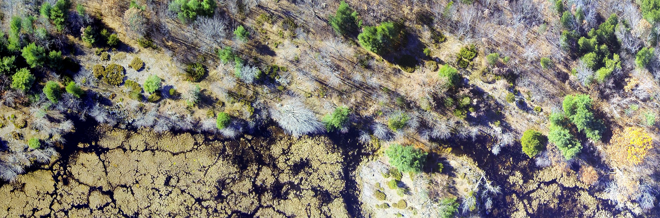 Elbow Lake Environmental Education Centre Aerial by Mingzhi Qu