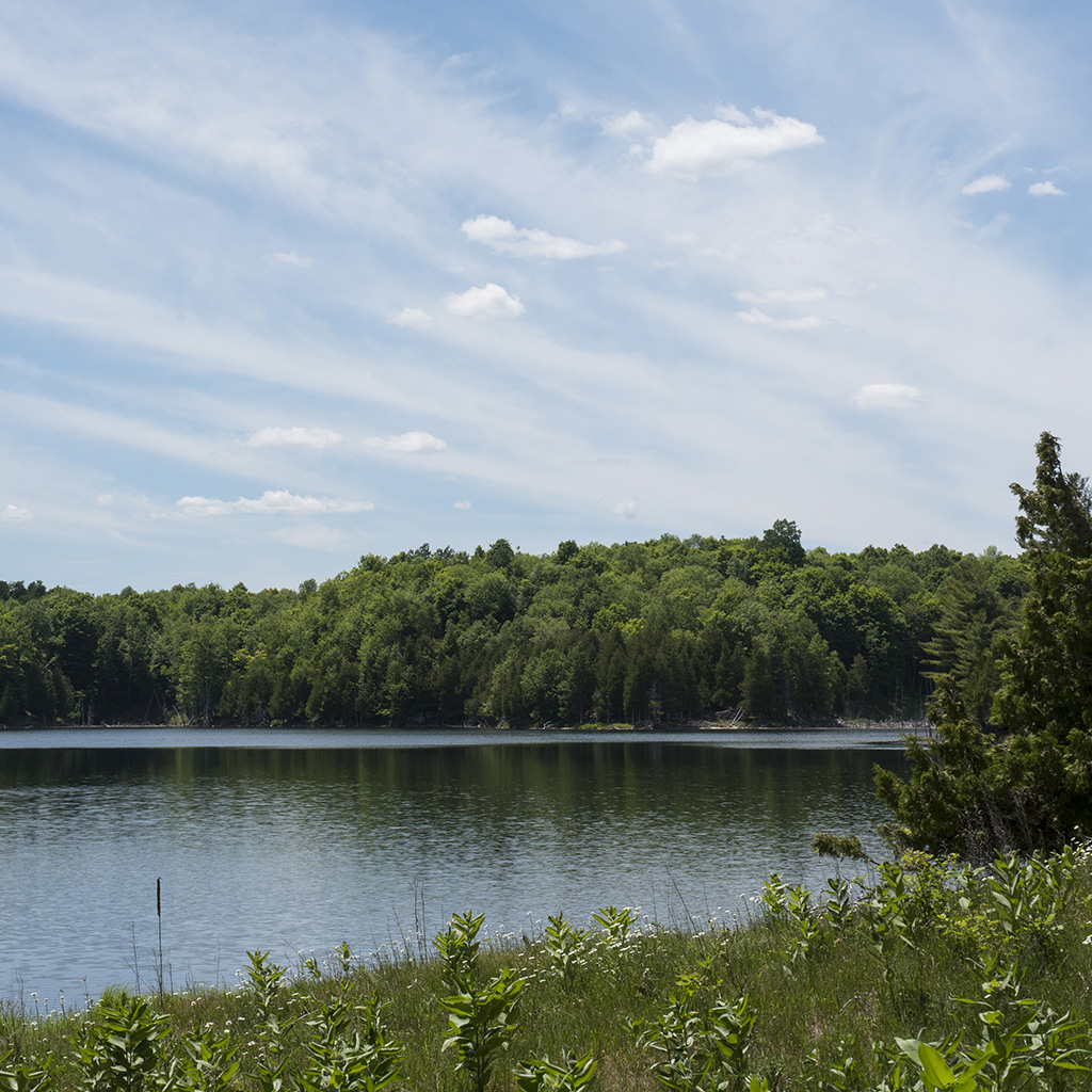 Lindsay Lake, Pangman Conservation Reserve