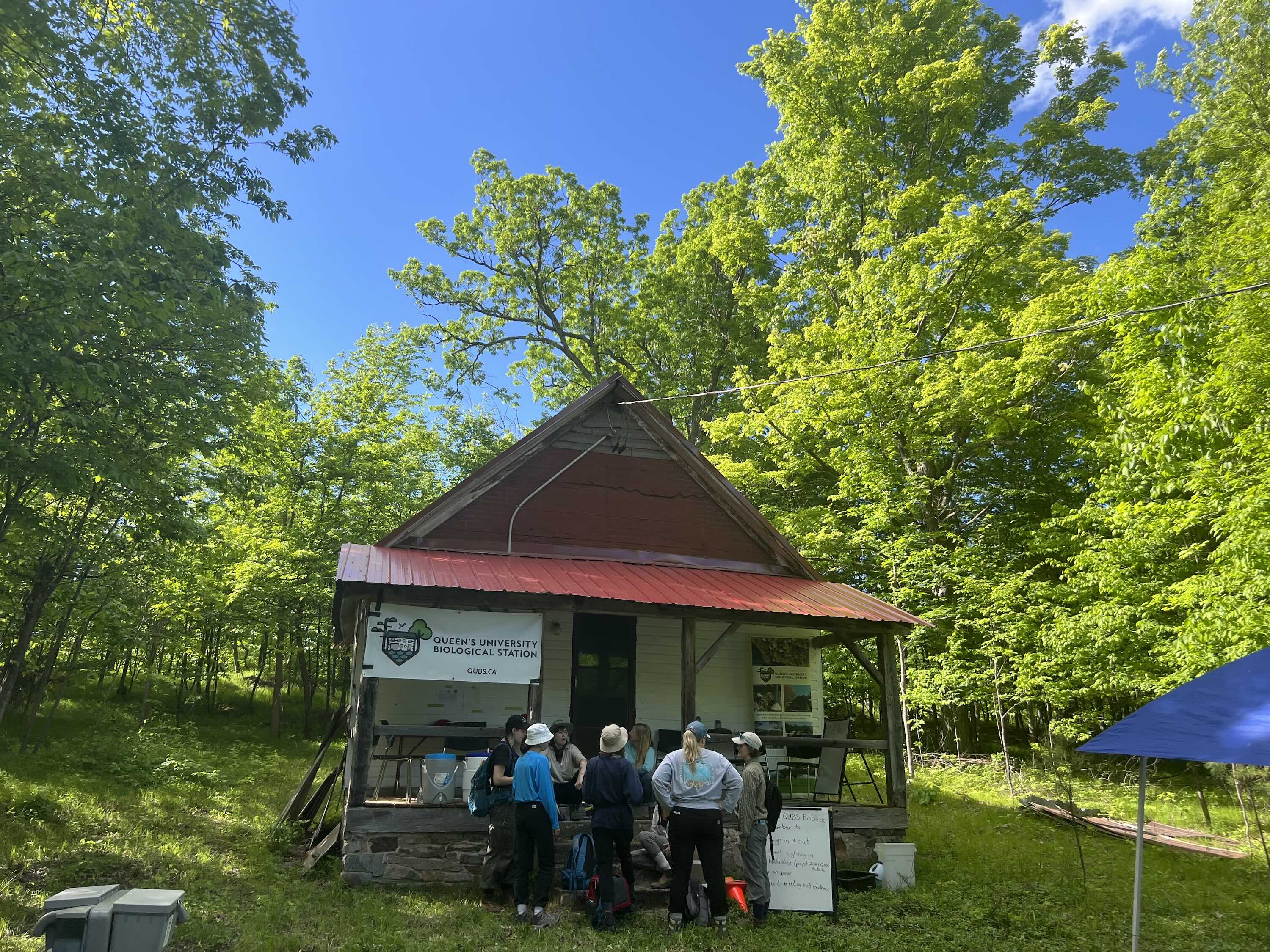 QUBS Bioblitz at old school house