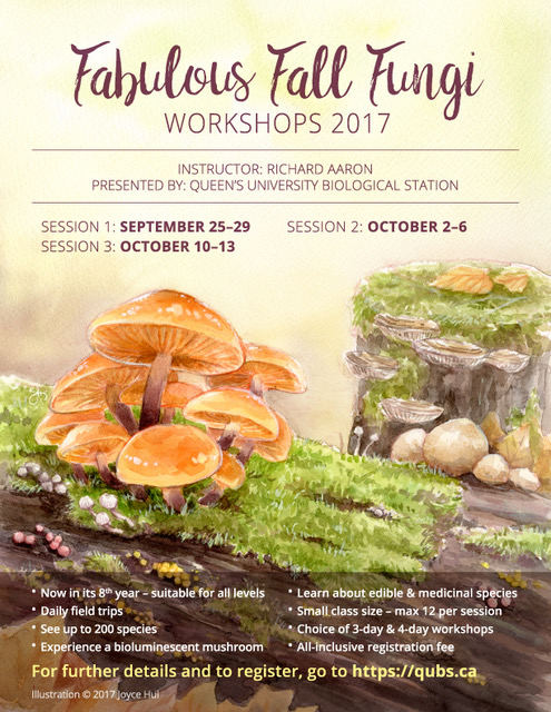 Fabulous Fall Fungi 2017