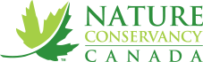 NCC logo